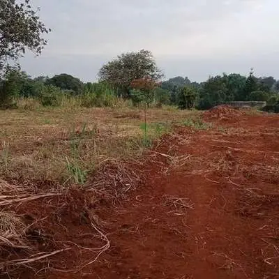 Sale banner at the Kimangaru site