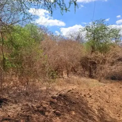 Tarmac junction near the Gachoka plots